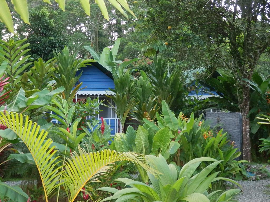 Hotel Casitas Mar Y Luz Puerto Viejo de Talamanca Kültér fotó