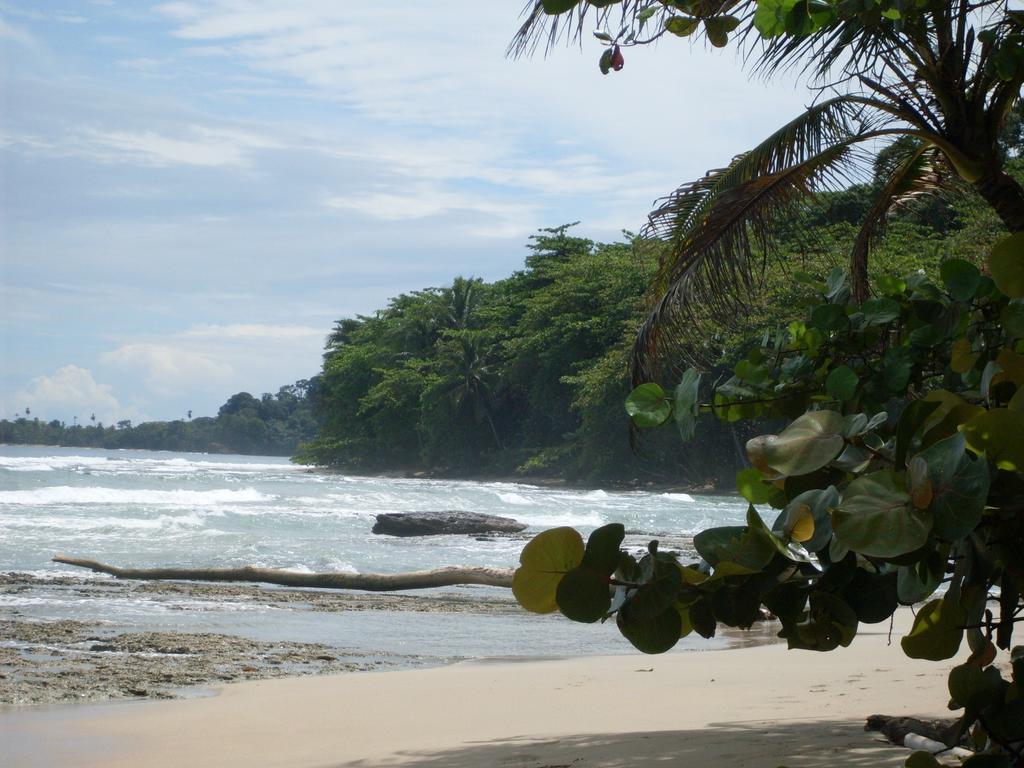 Hotel Casitas Mar Y Luz Puerto Viejo de Talamanca Kültér fotó