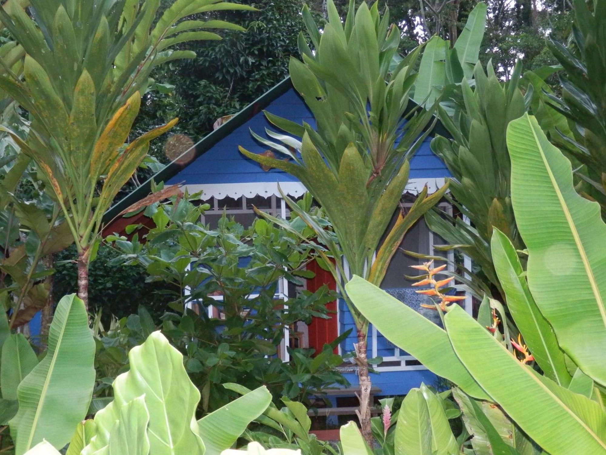 Hotel Casitas Mar Y Luz Puerto Viejo de Talamanca Kültér fotó